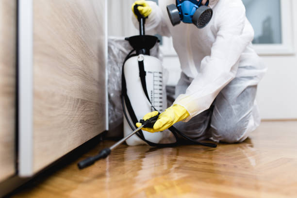 Best Rat Extermination Near Me  in Thomaston, GA