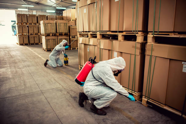 Best Bed Bug Extermination  in Thomaston, GA