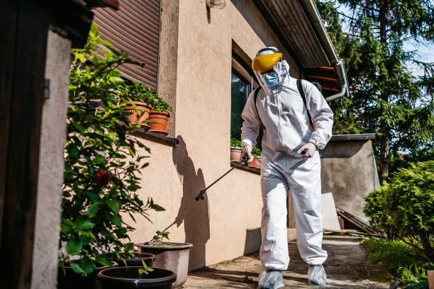 Best Termite Control Services  in Thomaston, GA