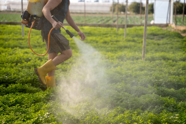 Best Affordable Pest Control Services  in Thomaston, GA