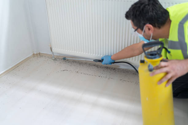 Best Flea Control Services  in Thomaston, GA