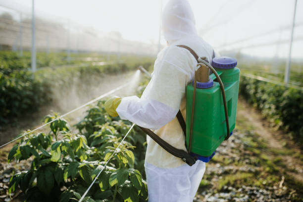 Professional Pest Control in Thomaston, GA